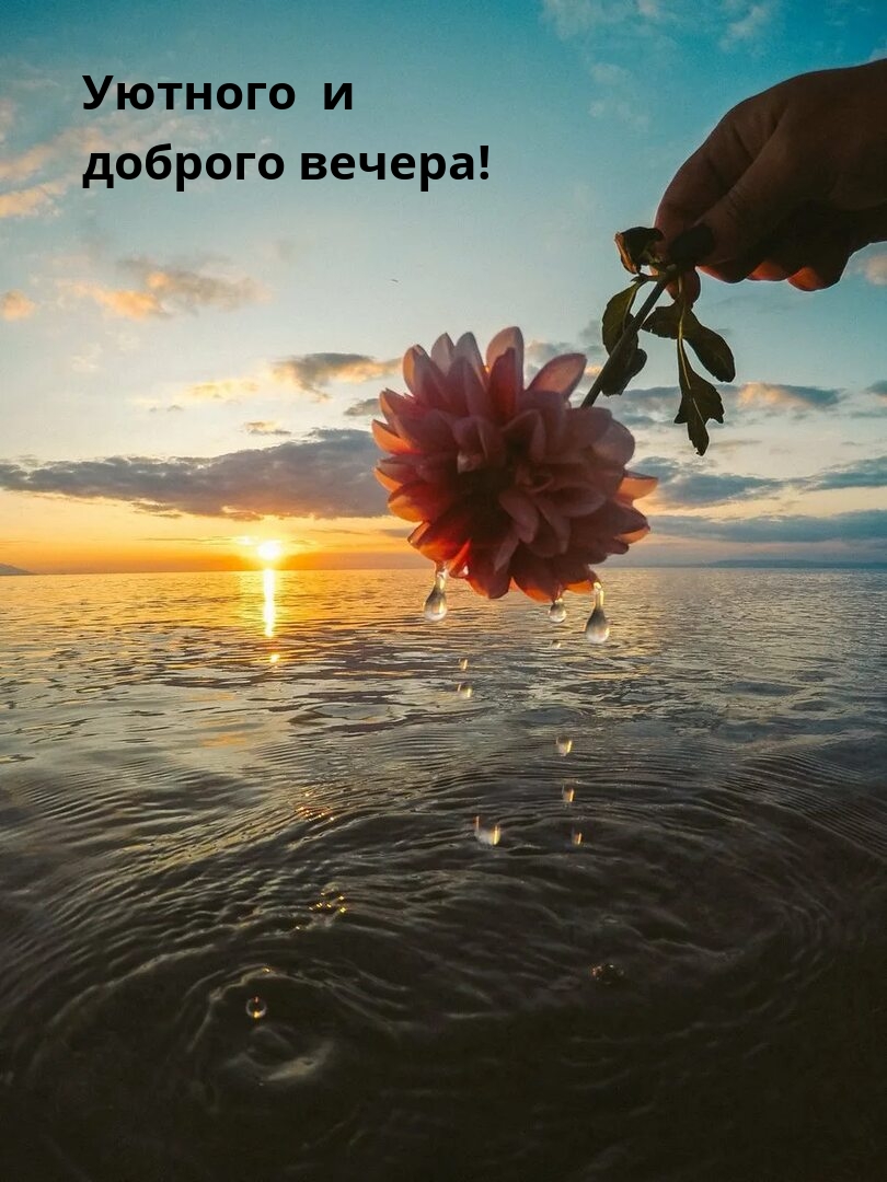 Уютного и доброго вечера!