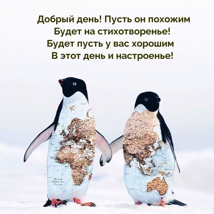 Добрый день! Пусть он похожим будет на стихотворенье!