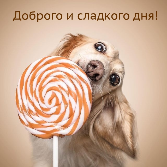 Доброго и сладкого дня!