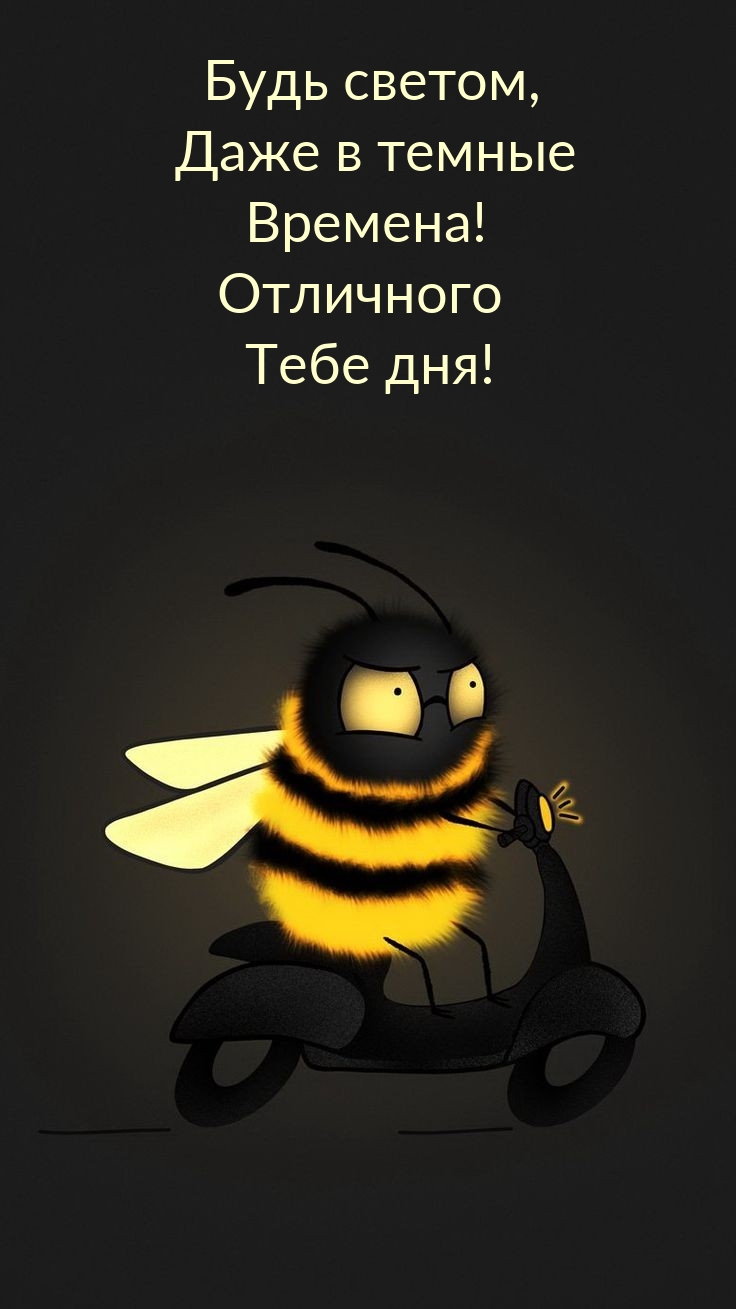 Будь светом, даже в темные времена! Отличного тебе дня!