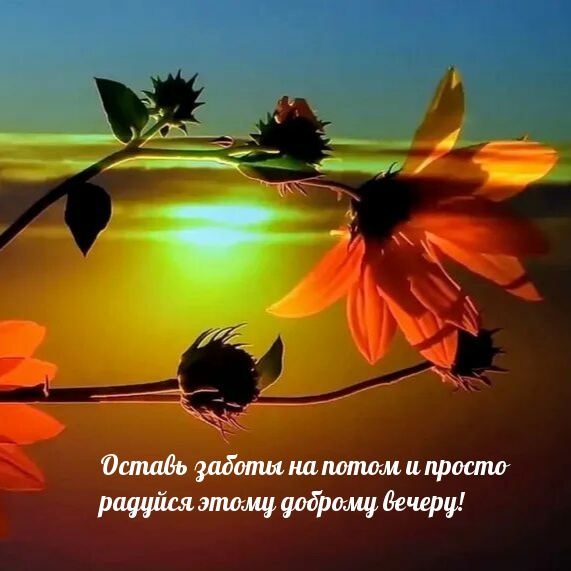 Оставь заботы на потом и просто радуйся этому доброму вечеру!