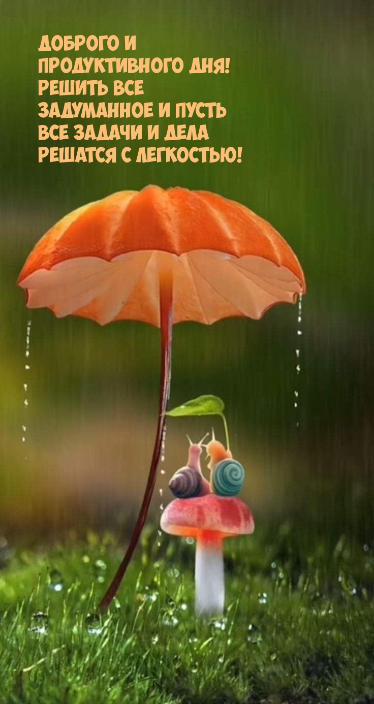 Доброго и продуктивного дня!