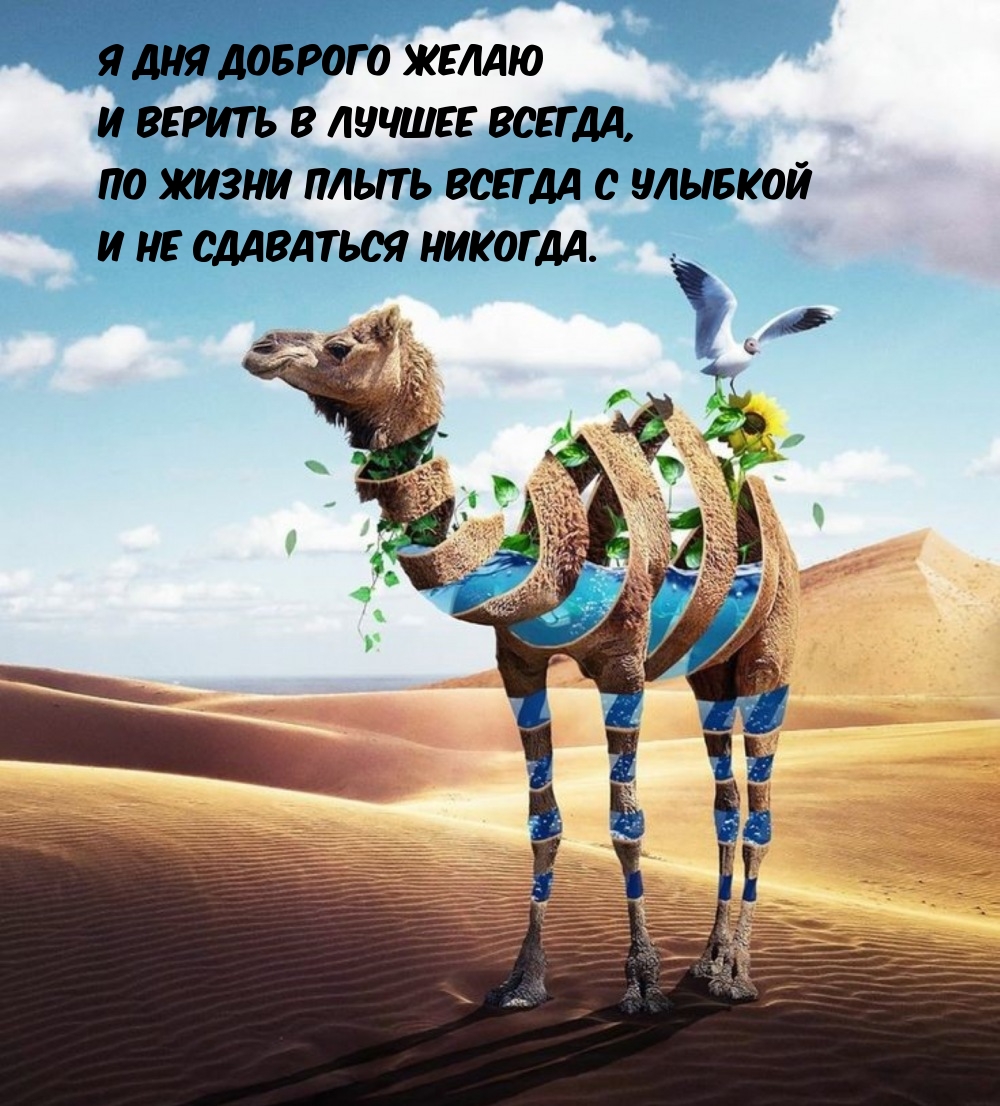 Я дня доброго желаю и верить в лучшее всегда
