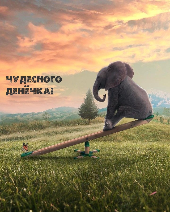 Чудесного денёчка!