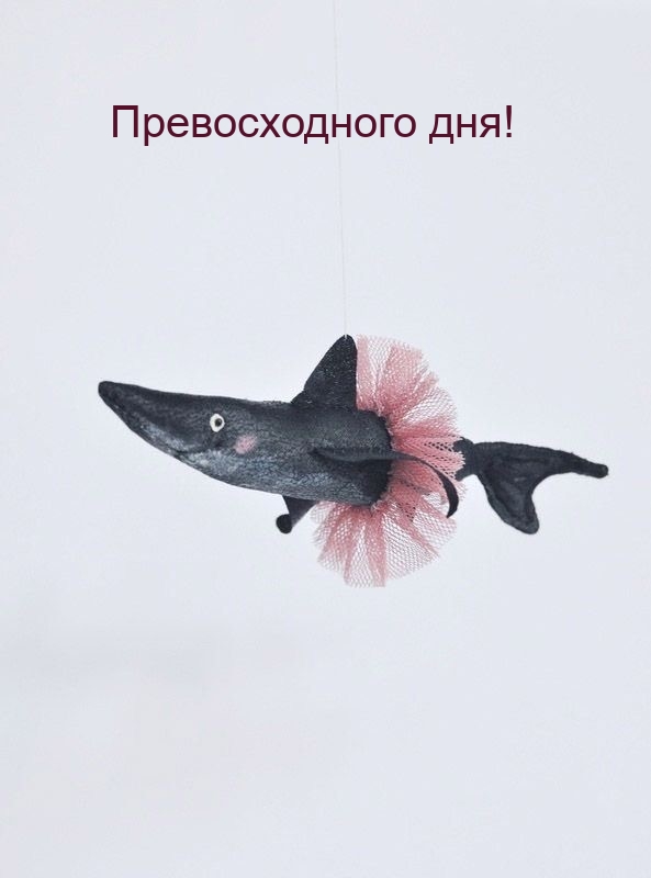 Превосходного дня!