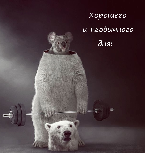 Хорошего и необычного дня!