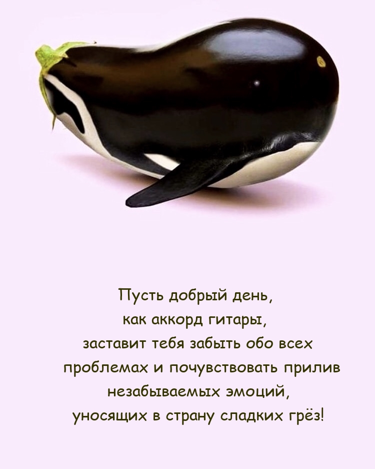 Незабываемых эмоций, уносящих в страну сладких грёз!