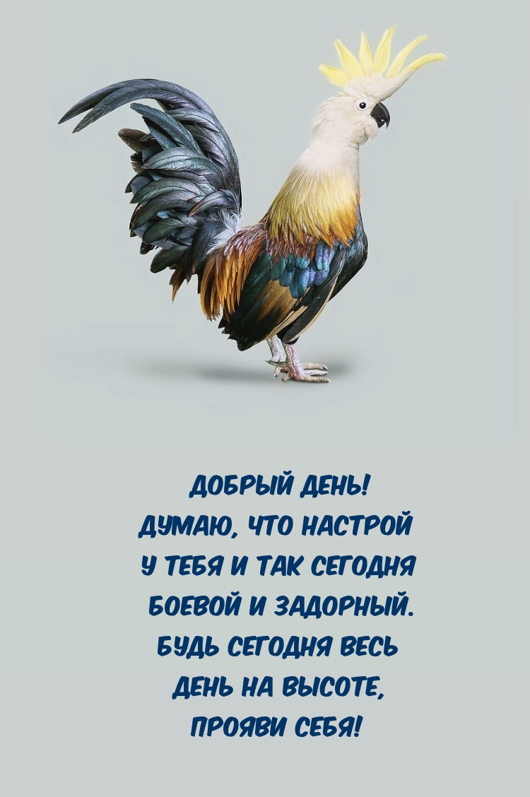 Добрый день! Думаю, что настрой у тебя и так сегодня боевой и задорный. 