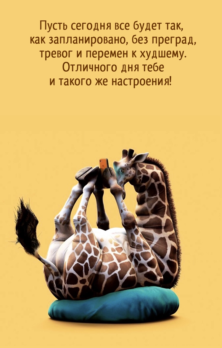 Пусть сегодня все будет так, как запланировано, без преград