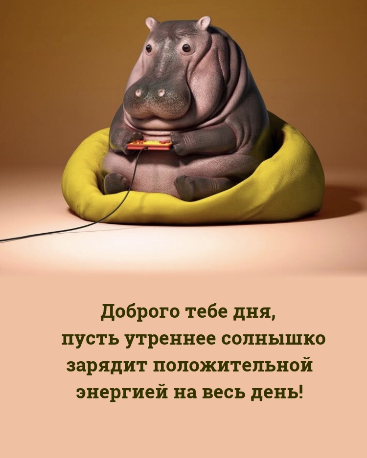 Доброго дня, пусть утреннее солнышко зарядит энергией на весь день!