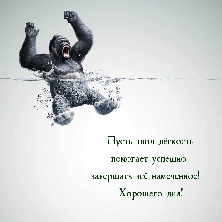 Пусть лёгкость помогает успешно завершать всё намеченное! Хорошего дня!