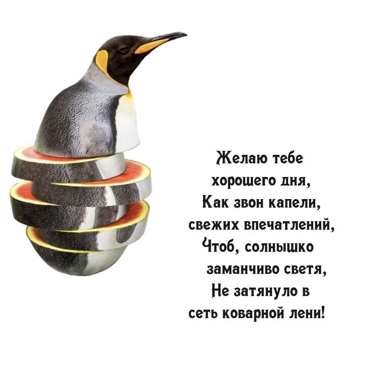 Желаю тебе хорошего дня, как звон капели, свежих впечатлений