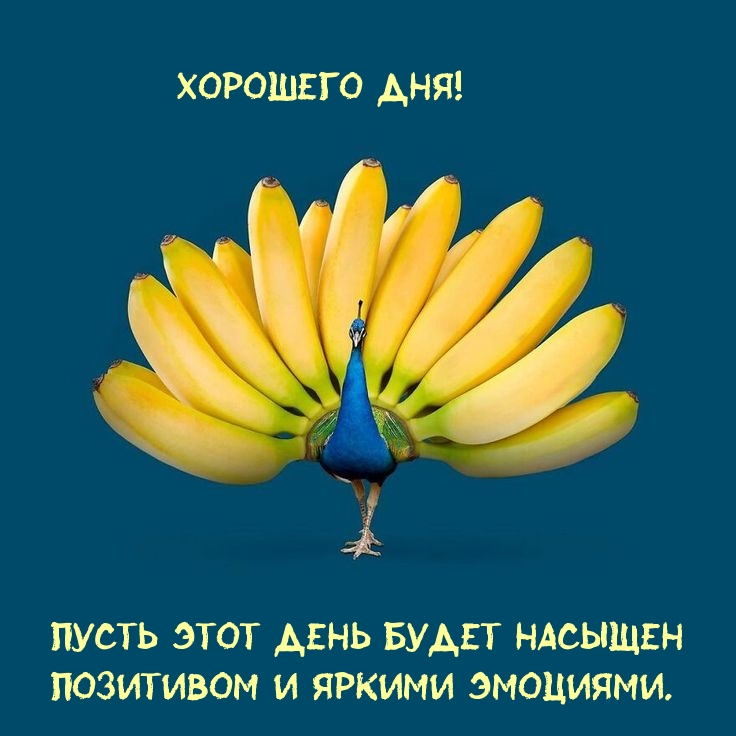 Хорошего дня! Пусть этот день будет насыщен позитивом 