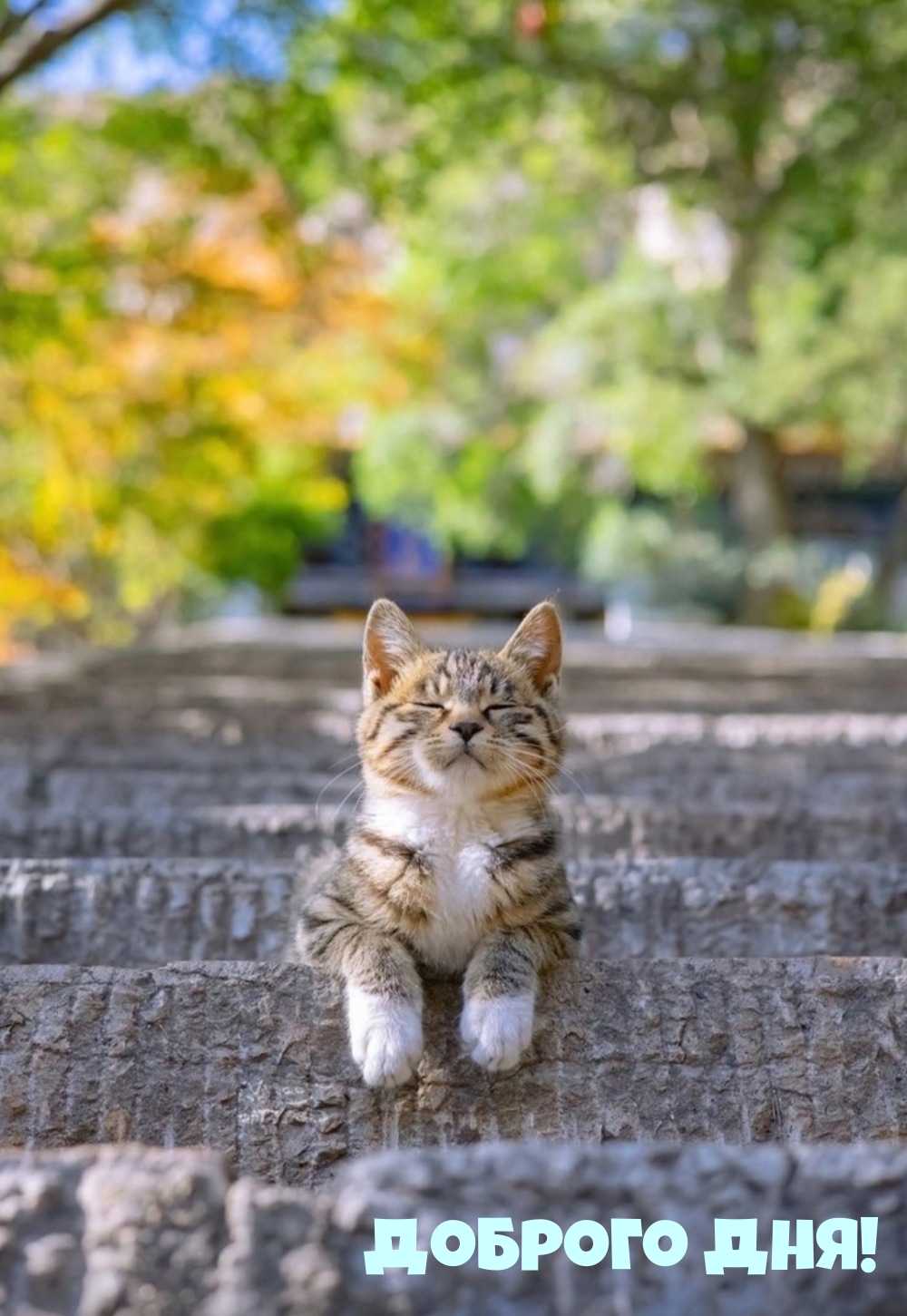 Доброго дня!