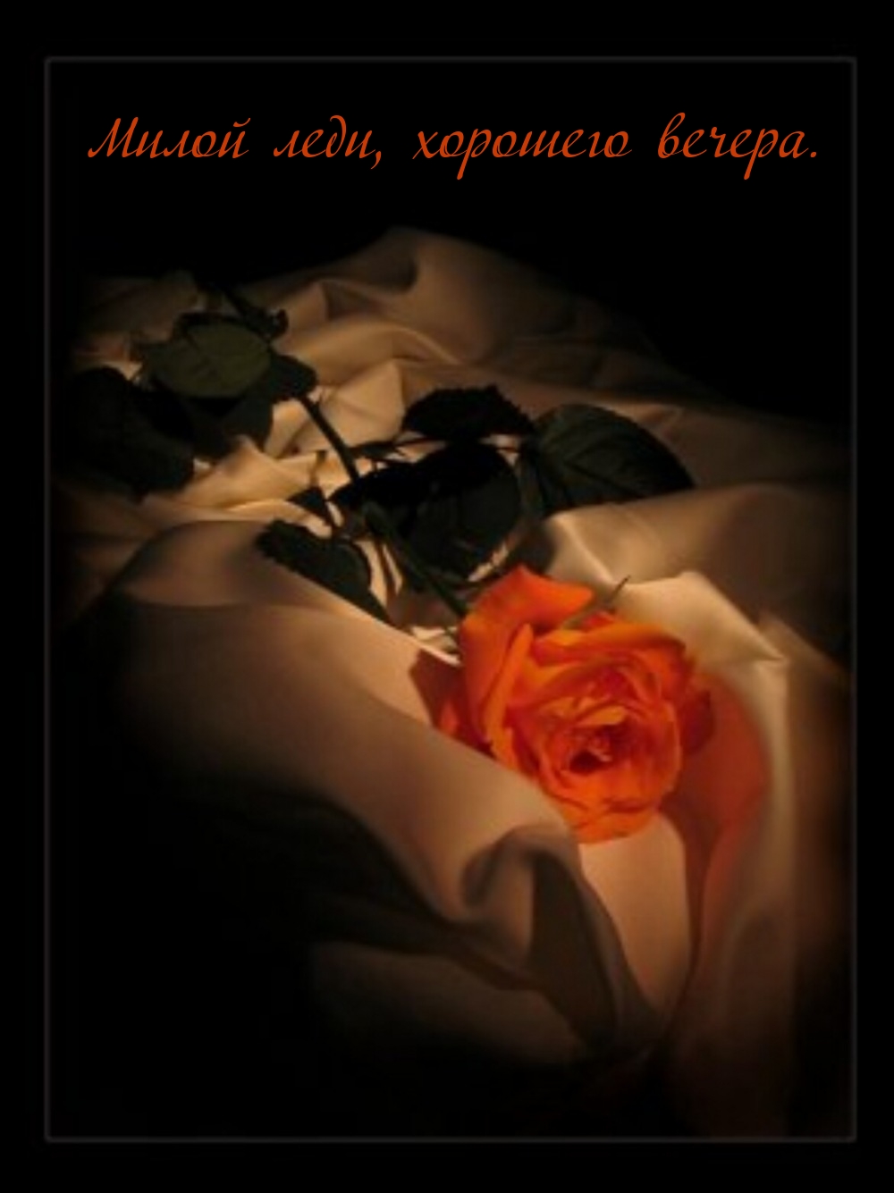 Милой леди, хорошего вечера.