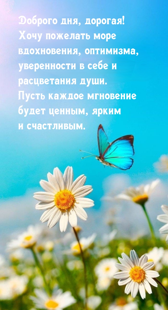 Доброго дня, дорогая! Хочу пожелать море вдохновения, оптимизма