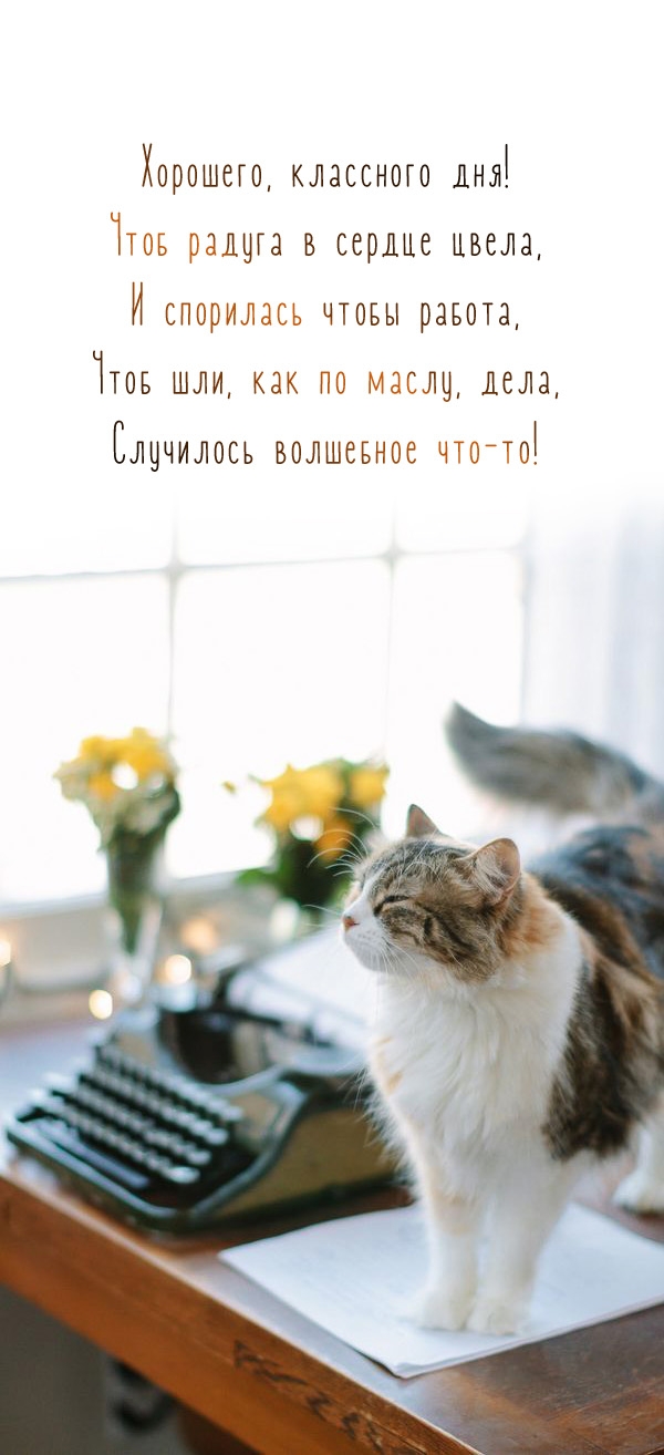 Хорошего, классного дня! Чтоб радуга в сердце цвела