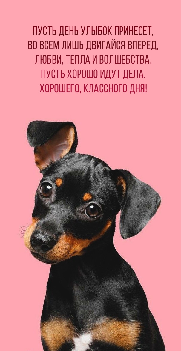Пусть день улыбок принесет, во всем лишь двигайся вперед