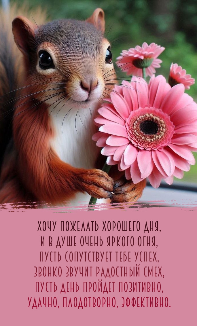 Хочу пожелать хорошего дня, и в душе очень яркого огня