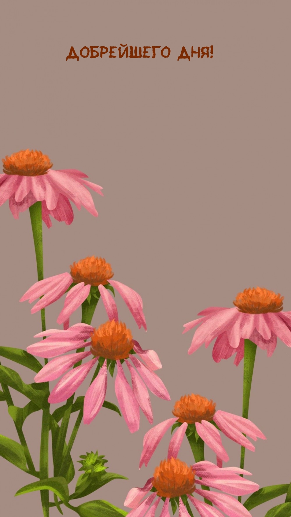 Добрейшего дня!