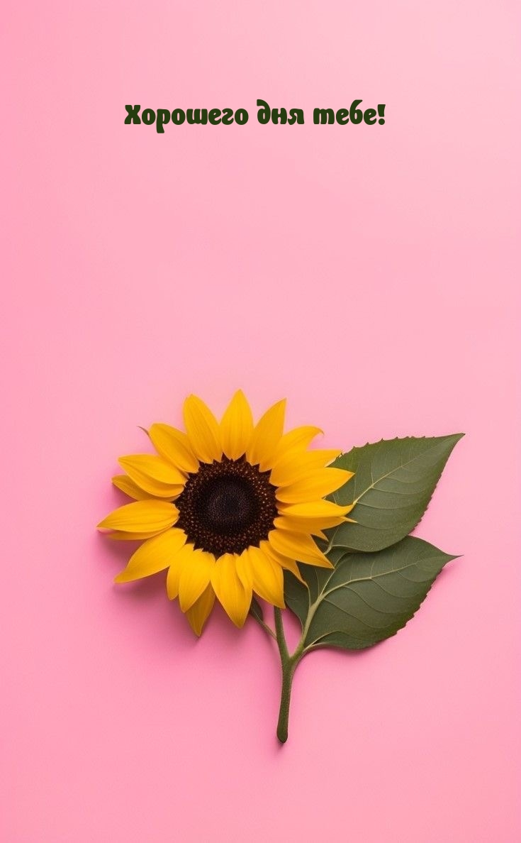Хорошего дня тебе!