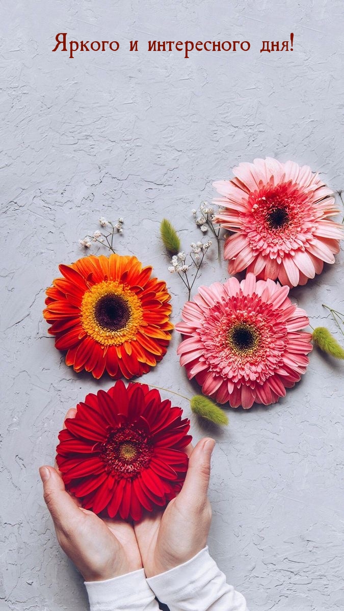 Яркого и интересного дня!
