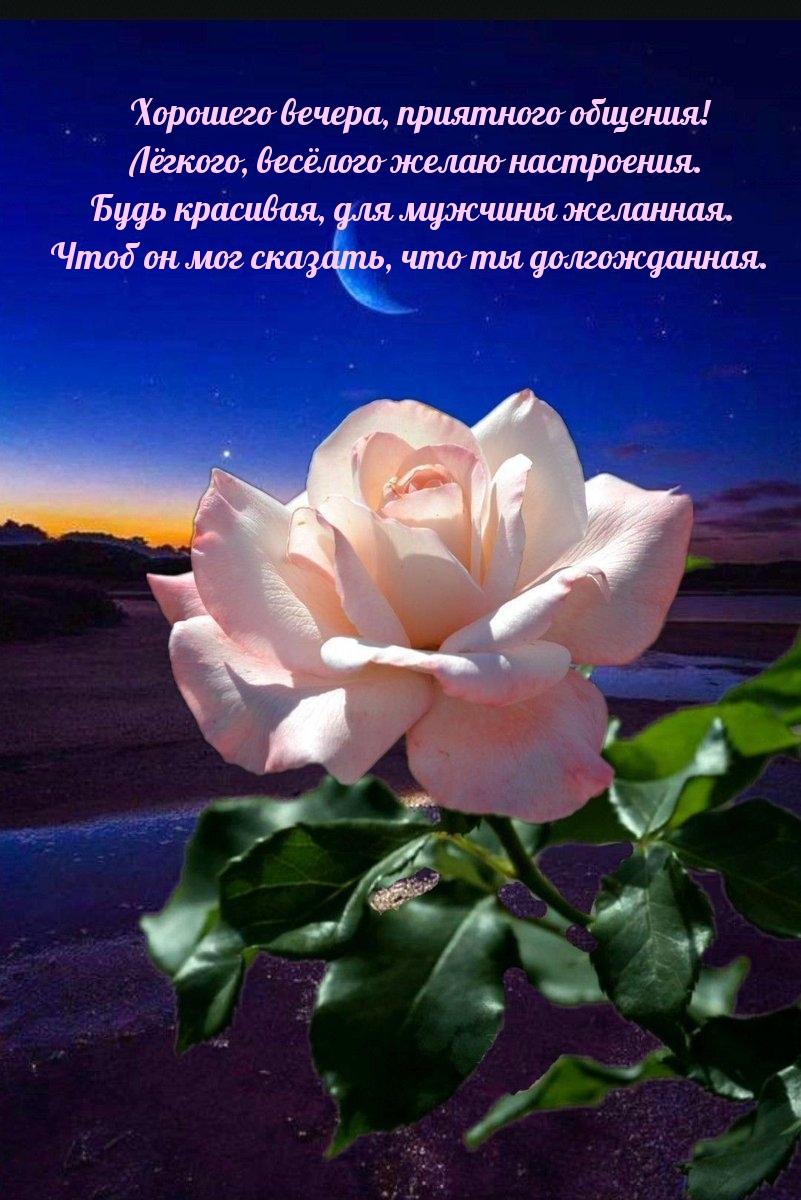 Хорошего вечера, приятного общения!