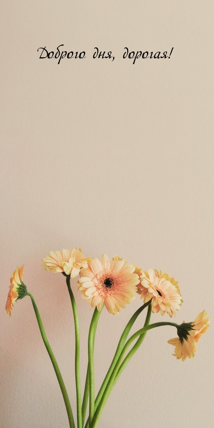 Доброго дня, дорогая!