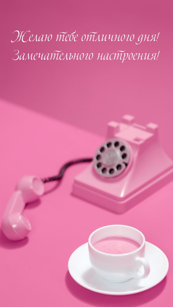 Желаю тебе отличного дня! Замечательного настроения!