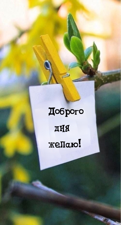 Доброго дня желаю!