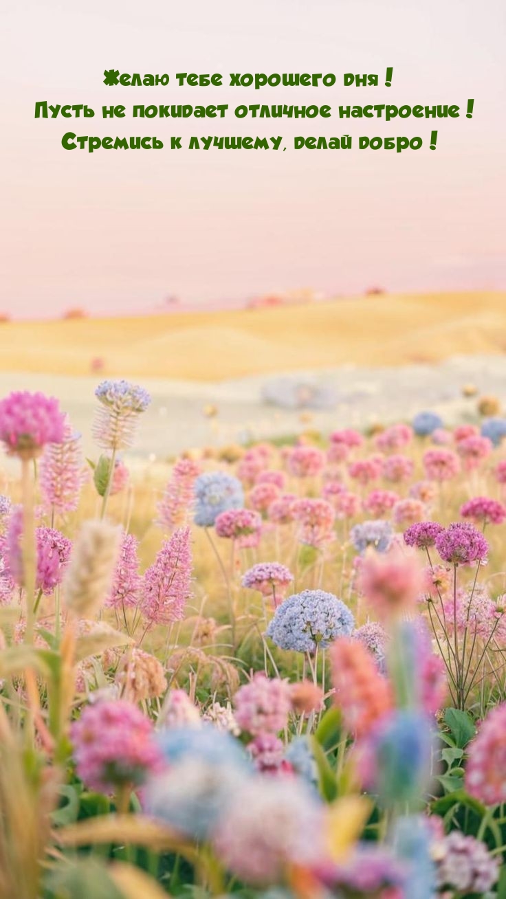 Желаю тебе хорошего дня! Пусть не покидает отличное настроение!