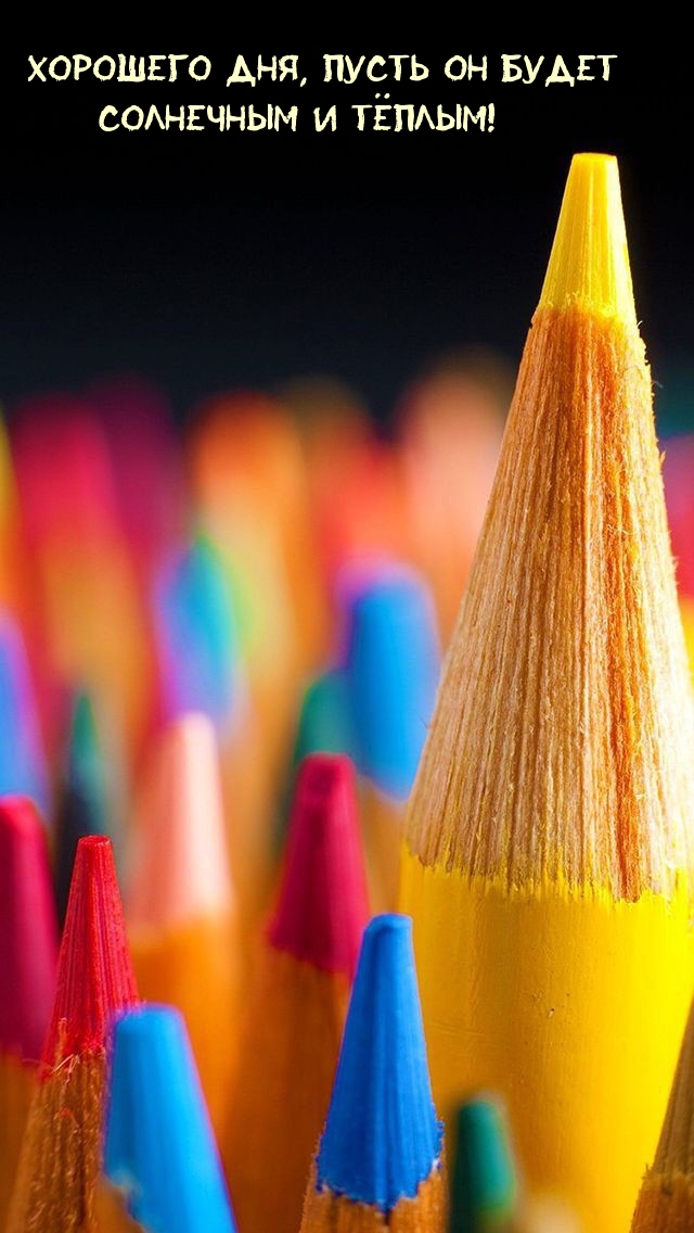 Хорошего дня, пусть он будет солнечным и тёплым!