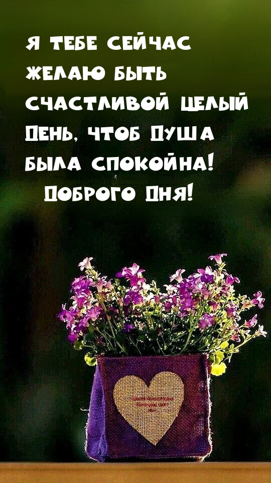 Я тебе желаю быть счастливой целый день, чтоб душа была спокойна!