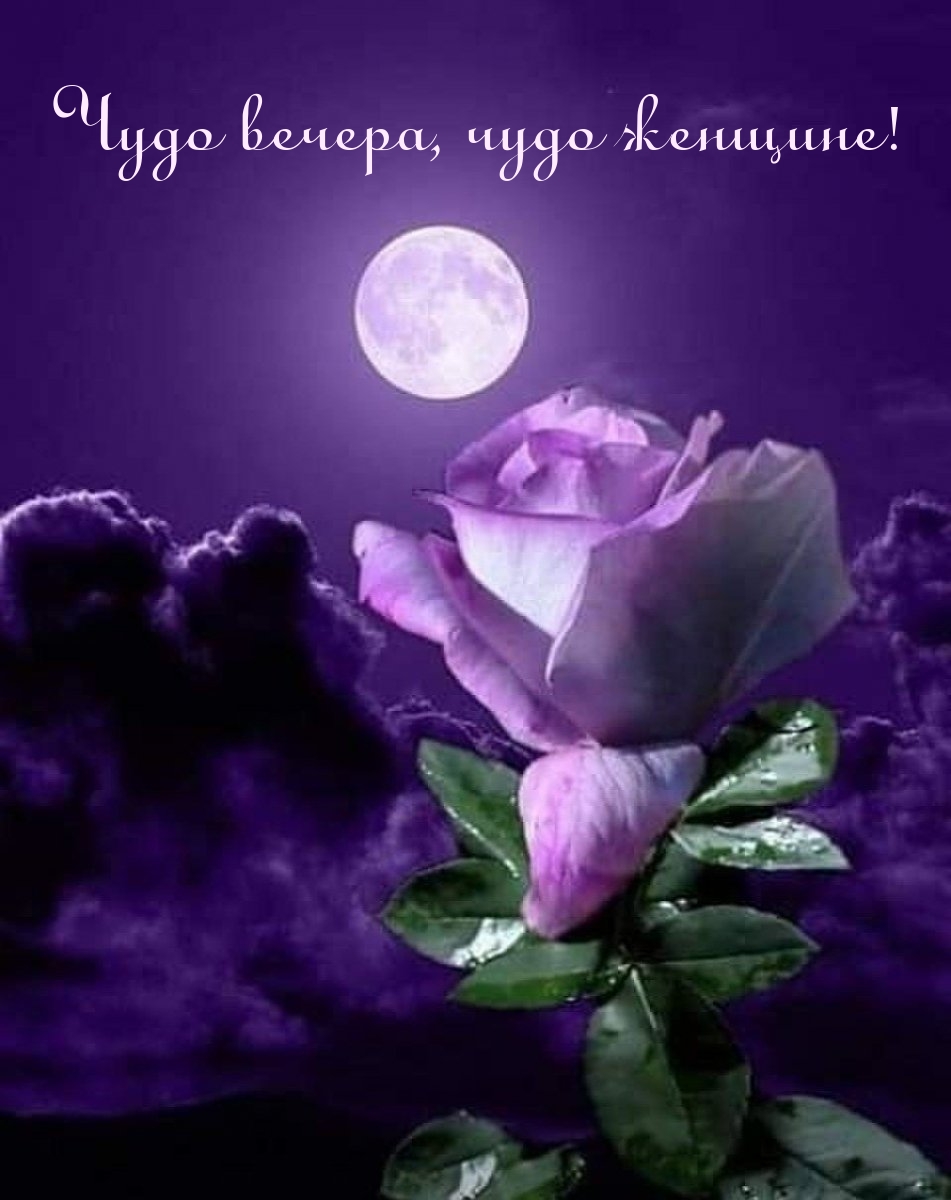 Чудо вечера, чудо женщине!