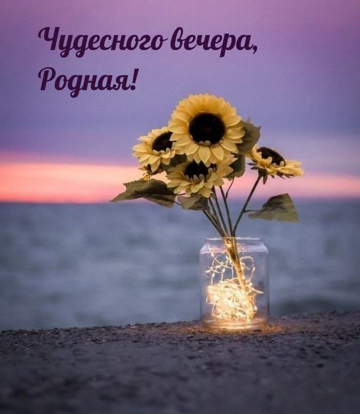 Чудесного вечера, Родная!