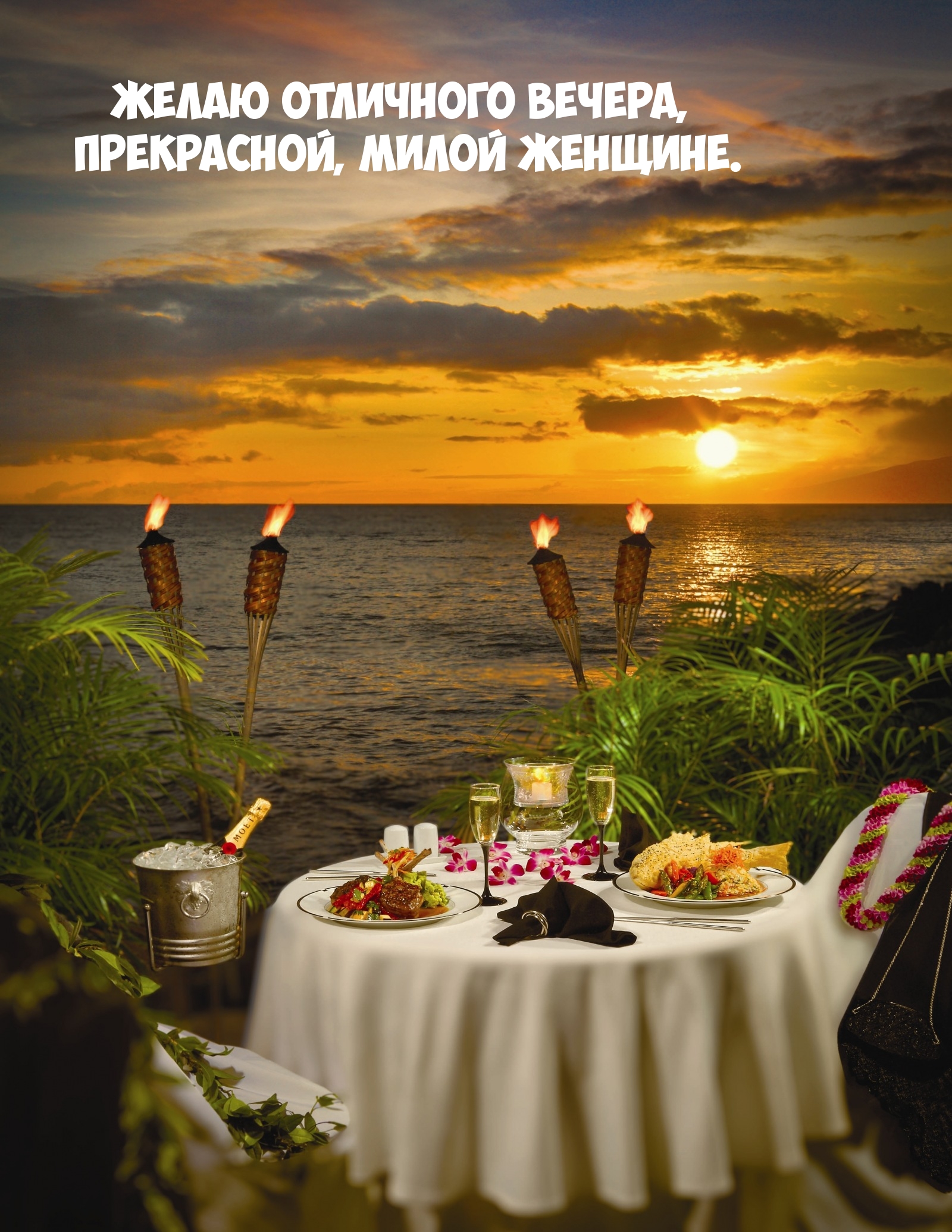 Желаю отличного вечера, прекрасной, милой женщине. 