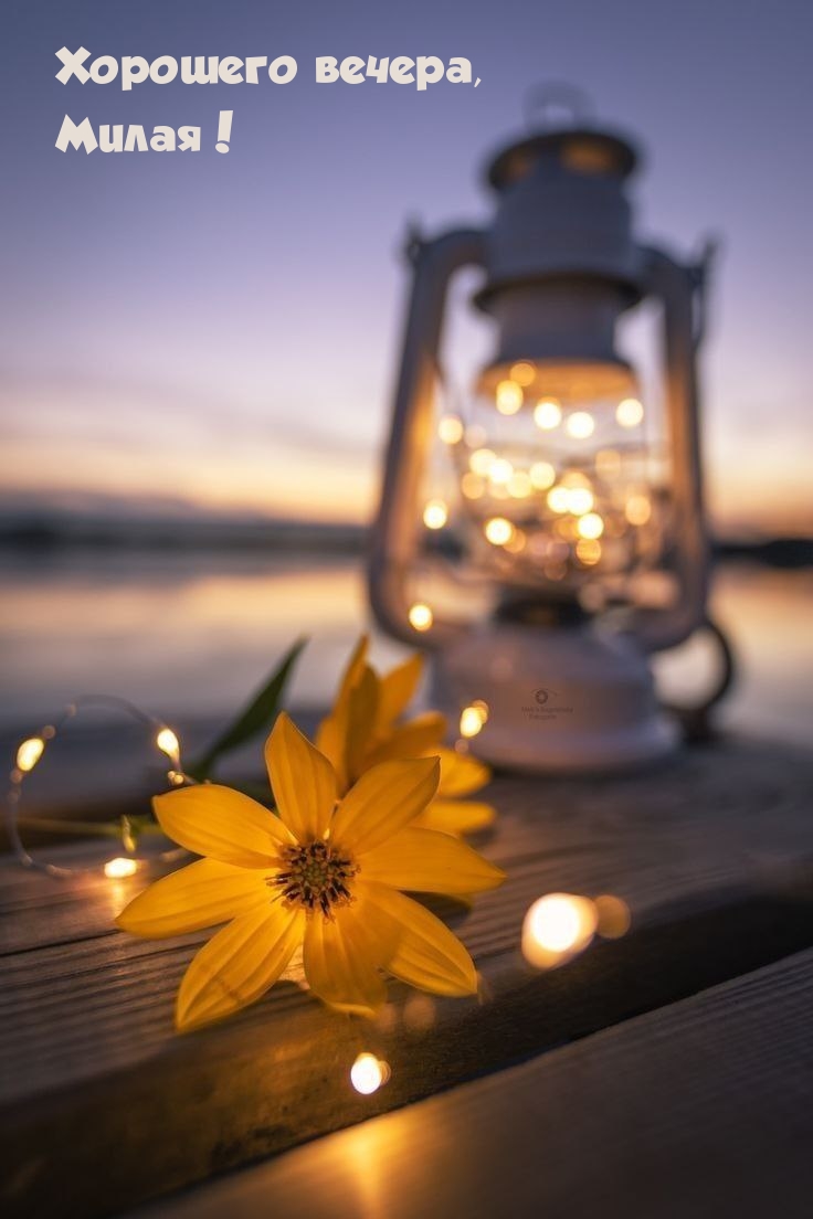 Хорошего вечера, Милая!