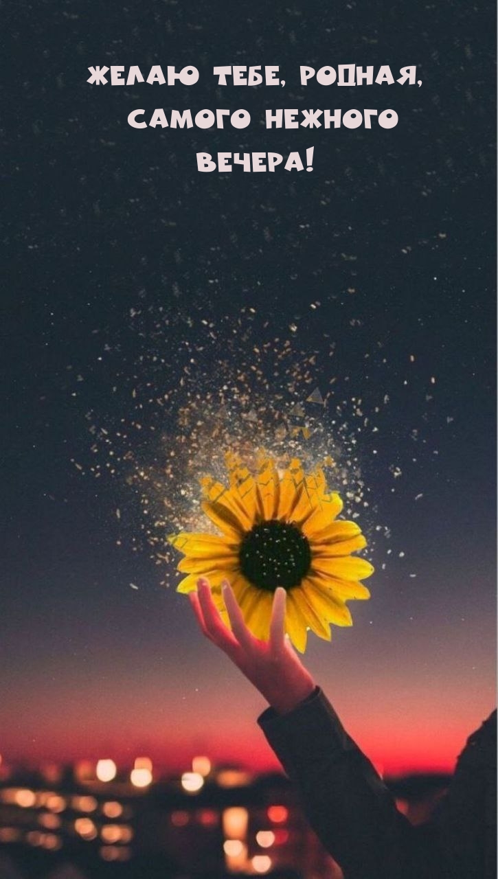 Желаю тебе, родная, самого нежного Вечера!