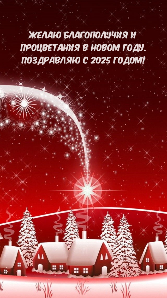 Желаю благополучия и процветания в новом году. С 2025 годом!