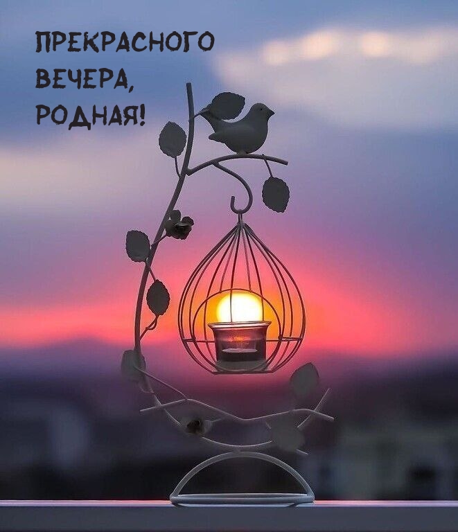 Прекрасного Вечера, Родная!