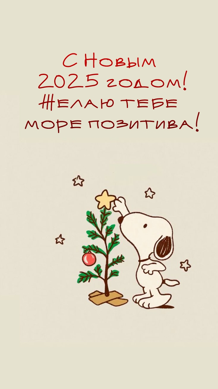 С Новым 2025 годом! Желаю тебе море позитива!