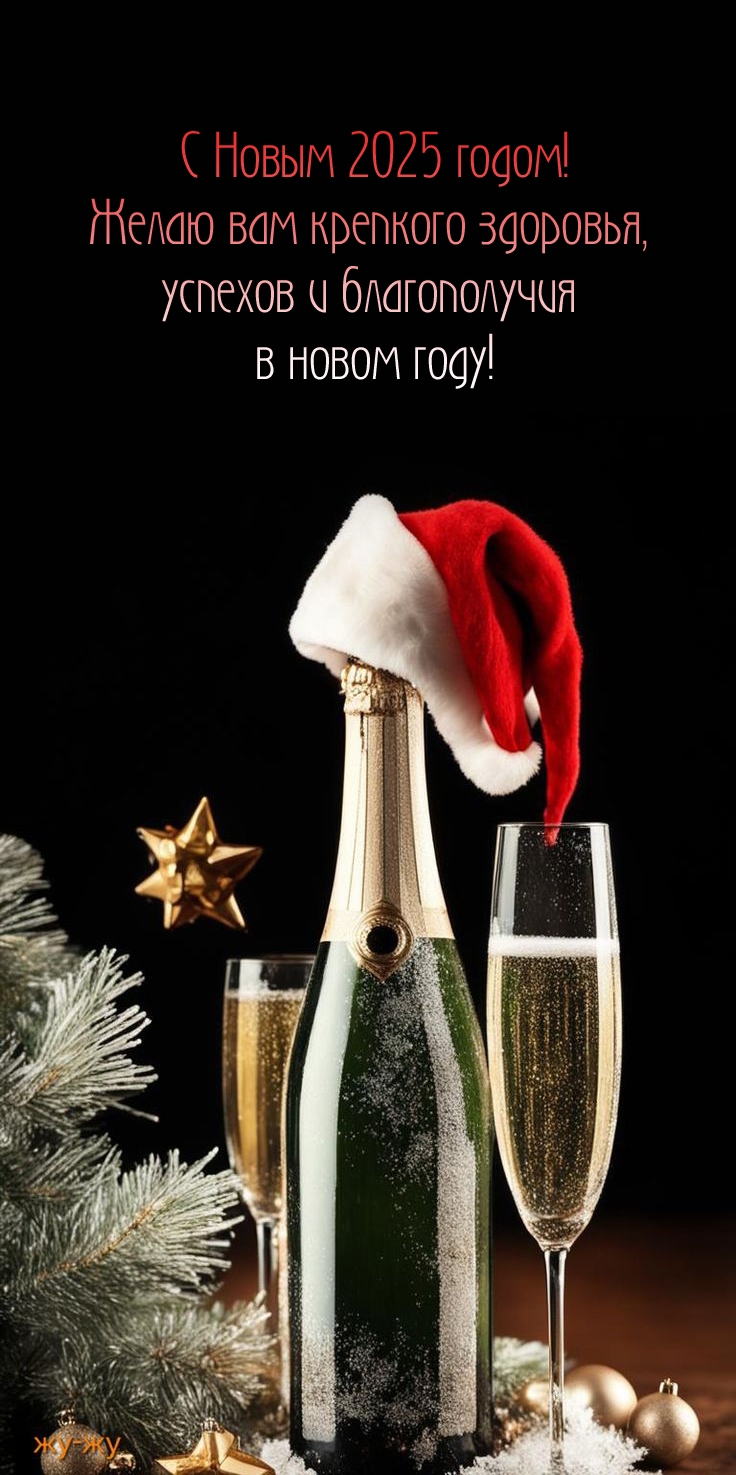 С Новым 2025 годом! Желаю вам крепкого здоровья