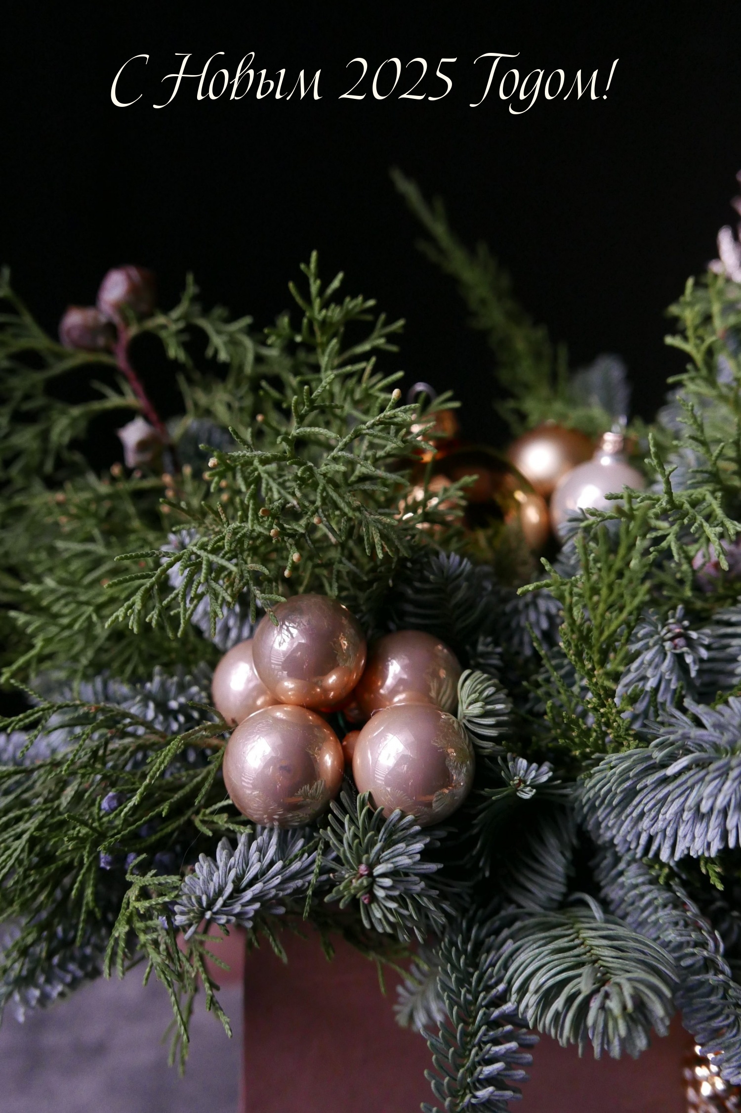 С Новым 2025 Годом!