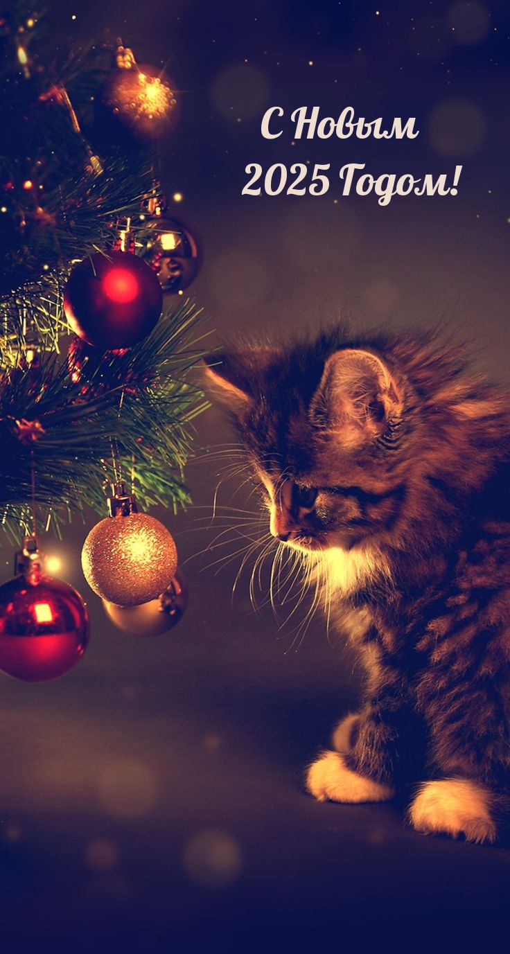 С Новым 2025 Годом!