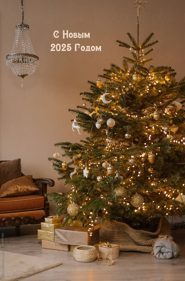 С Новым 2025 Годом