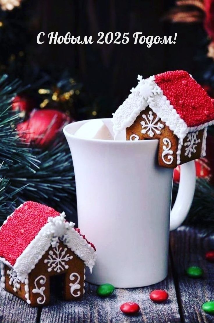 С Новым 2025 Годом!