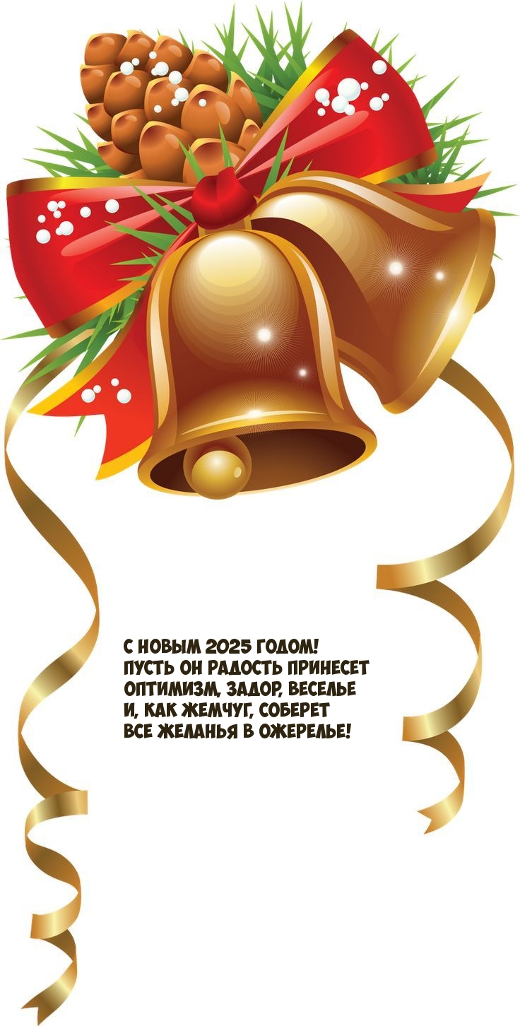 С новым 2025 годом! Пусть он радость принесет оптимизм, задор
