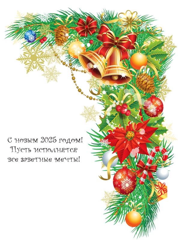С новым 2025 годом! Пусть исполнятся все заветные мечты!