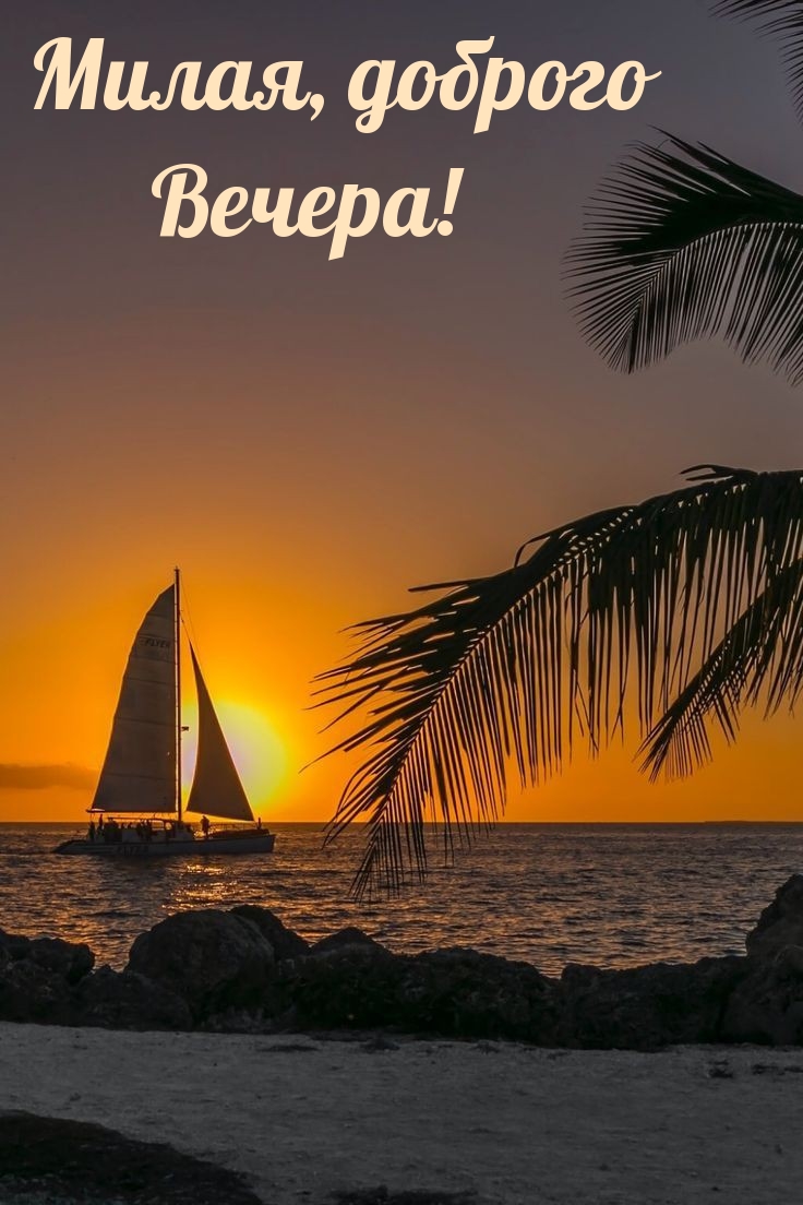 Милая, доброго вечера!