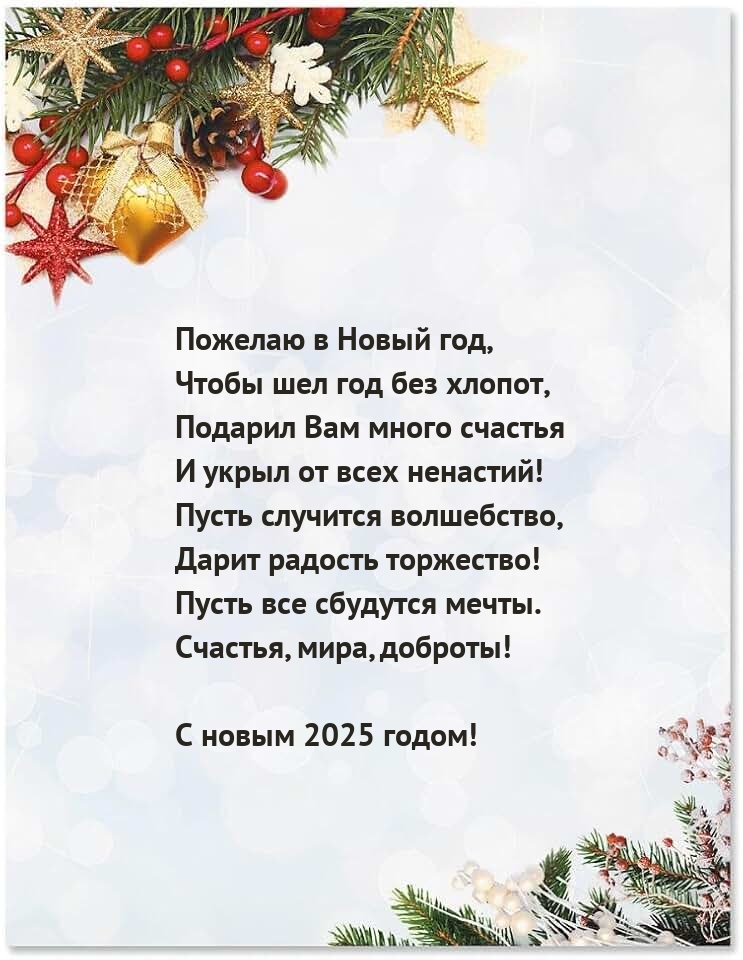 С новым 2025 годом! Пожелаю в Новый год, чтобы шел год без хлопот